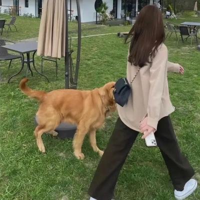 最后的贵族